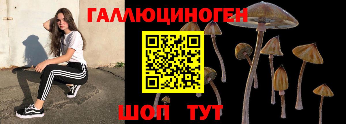 Псилоцибиновые грибы Cubensis  Вход с VPN  Джанкой 